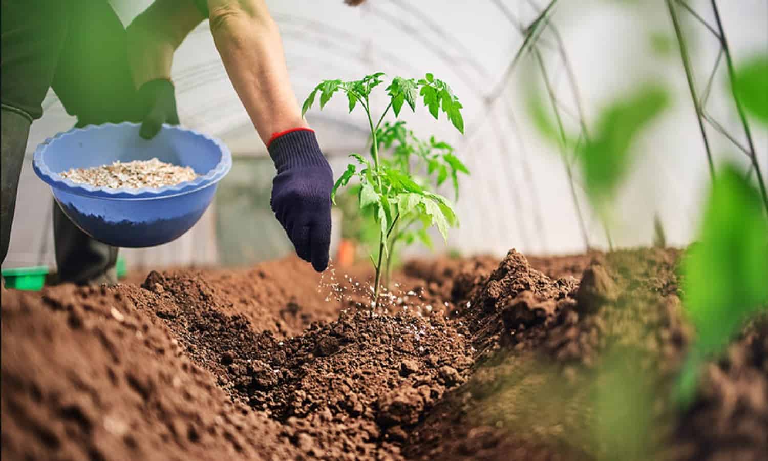 11% ارتفاعًا في أرباح الدولية للأسمدة خلال الربع الأول