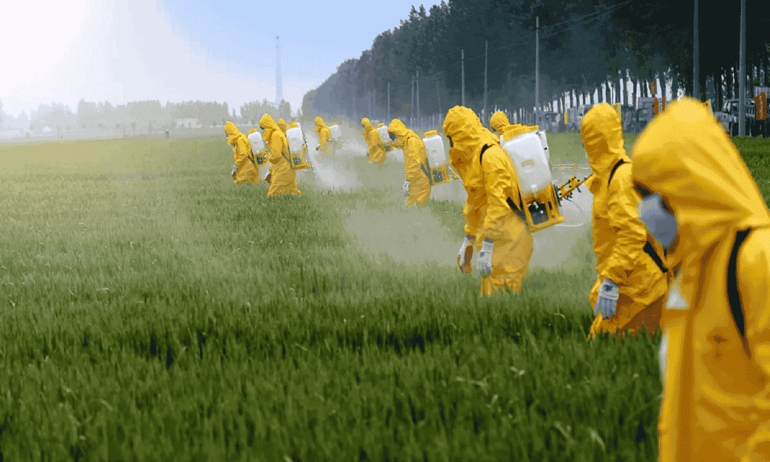 Kafr El Zayat Pesticides’ standalone profits climb 133% YoY in 9 months