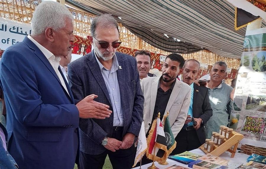 سلامة الغذاء تُدرج 10 مصانع جديدة بالقائمة البيضاء لتصدير التمور