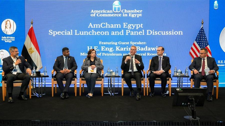 بدوي: خفض مستحقات الشركاء إلى 1.3 مليار دولار واستهداف تصفيرها بنهاية يونيو