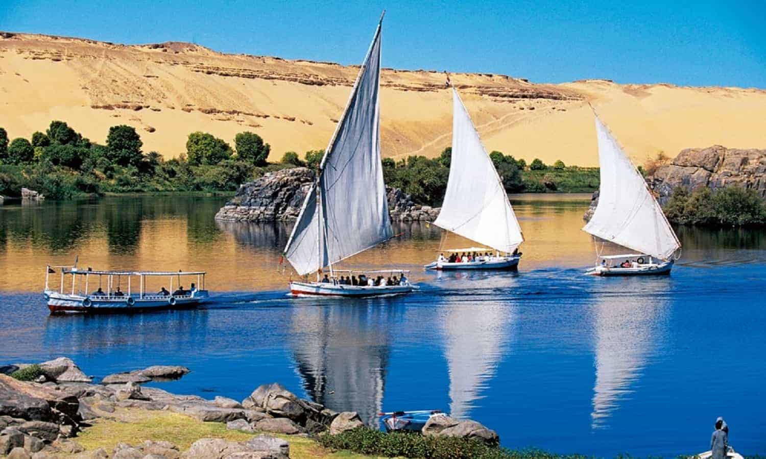 48% تراجعًا في أرباح عبر المحيطات للسياحة خلال 6 أشهر